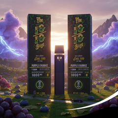 The 10/10 Boys – D9 Liquid Diamond Kit (1g) | Premium Rechargeable Empty Vape Kit