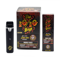 The 10/10 Boys Premium Vape - 2mL – High-Quality Experience in a Convenient Device