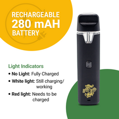 The 10/10 Boys Premium Vape - 2mL – High-Quality Experience in a Convenient Device