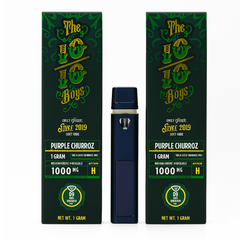 The 10/10 Boys – D9 Liquid Diamond Kit (1g) | Premium Rechargeable Empty Vape Kit