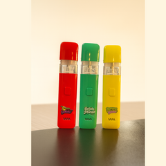 WHOLE MELT Gelato Edition 2G Empty Vape Pen – Reusable, Rechargeable &Type-C Enabled