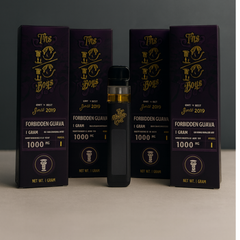 The 10/10 Boys Digital 1ML (Empty) – Sleek, Rechargeable & Reusable Device