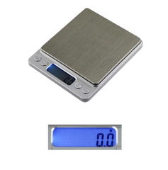 Precision Digital Scale