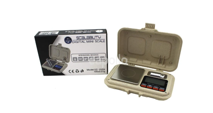 Digital Mini Scales