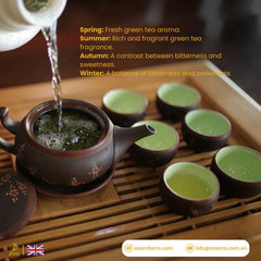 Kabul Chai, green tea, no sugar, no calories, certified Halal, loose tea, Southeast Asian highlands, fresh, fragrance, nutrition, high-quality packaging, positive customer reviews, guilt-free, natural, aromatic, wholesome, refreshing, tea enthusiasts, health-conscious, antioxidants, metabolism boost, immune support, heart health, calming properties.