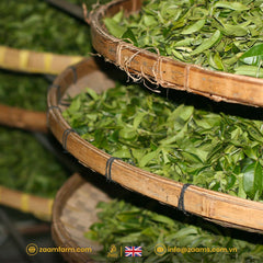 Kabul Chai, green tea, no sugar, no calories, certified Halal, loose tea, Southeast Asian highlands, fresh, fragrance, nutrition, high-quality packaging, positive customer reviews, guilt-free, natural, aromatic, wholesome, refreshing, tea enthusiasts, health-conscious, antioxidants, metabolism boost, immune support, heart health, calming properties.