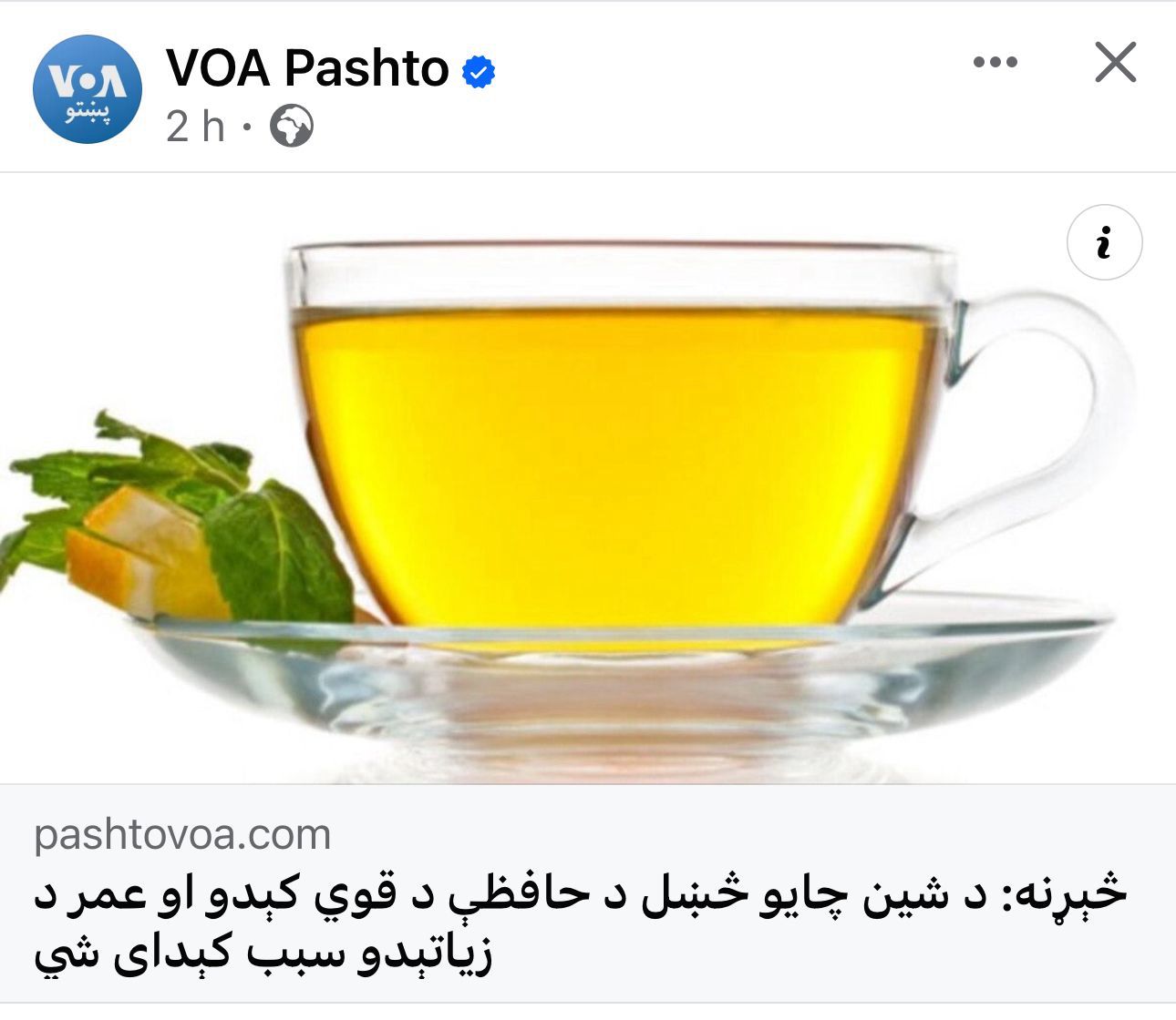 Kabul Chai, green tea, no sugar, no calories, certified Halal, loose tea, Southeast Asian highlands, fresh, fragrance, nutrition, high-quality packaging, positive customer reviews, guilt-free, natural, aromatic, wholesome, refreshing, tea enthusiasts, health-conscious, antioxidants, metabolism boost, immune support, heart health, calming properties.