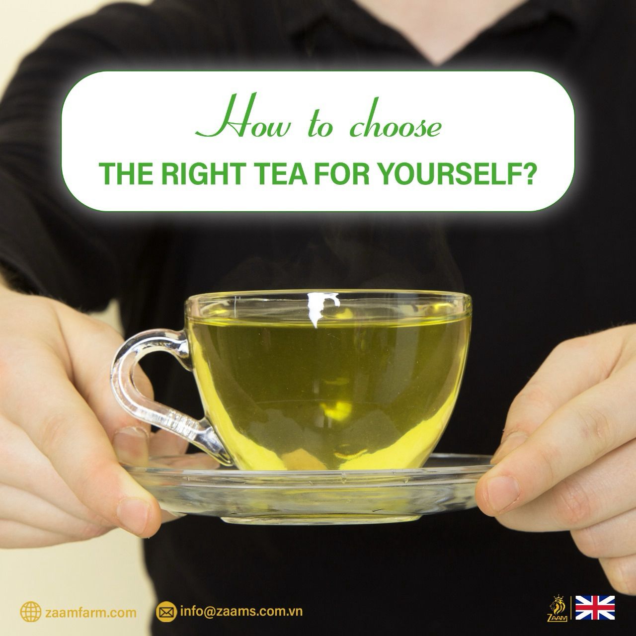 Kabul Chai, green tea, no sugar, no calories, certified Halal, loose tea, Southeast Asian highlands, fresh, fragrance, nutrition, high-quality packaging, positive customer reviews, guilt-free, natural, aromatic, wholesome, refreshing, tea enthusiasts, health-conscious, antioxidants, metabolism boost, immune support, heart health, calming properties.