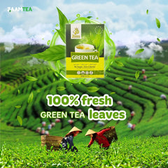 ZAAM Green Tea No Sugar Green Tea Zero Calories Green Tea Authentic Taste Green Tea Green Tea Leaves Refreshing Green Tea Invigorating Green Tea Green Tea 500g Sugar-Free Green Tea Healthy Green Tea Natural Green Tea Premium Green Tea Green Tea Beverage Green Tea Drink Green Tea Benefits