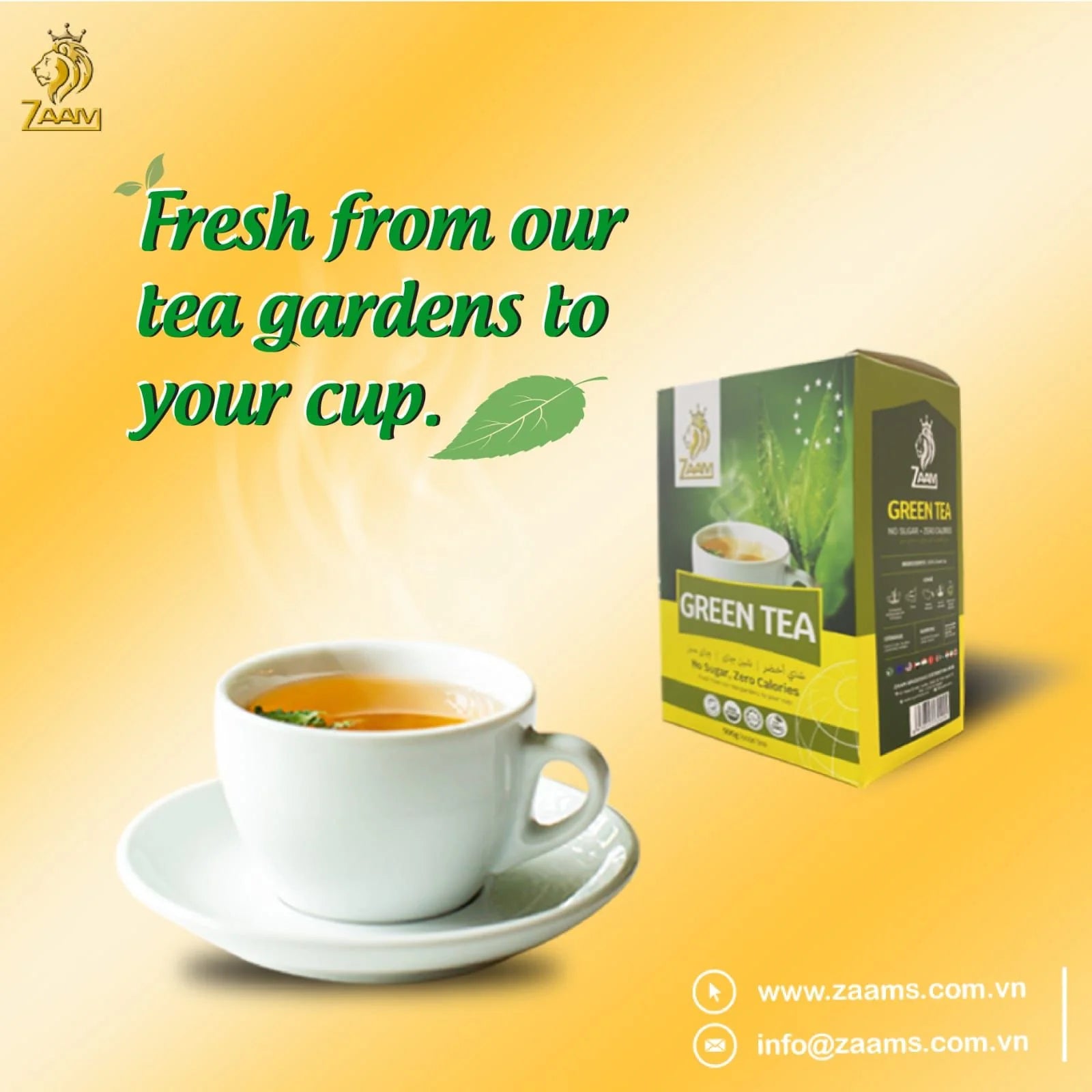 ZAAM Green Tea No Sugar Green Tea Zero Calories Green Tea Authentic Taste Green Tea Green Tea Leaves Refreshing Green Tea Invigorating Green Tea Green Tea 500g Sugar-Free Green Tea Healthy Green Tea Natural Green Tea Premium Green Tea Green Tea Beverage Green Tea Drink Green Tea Benefits