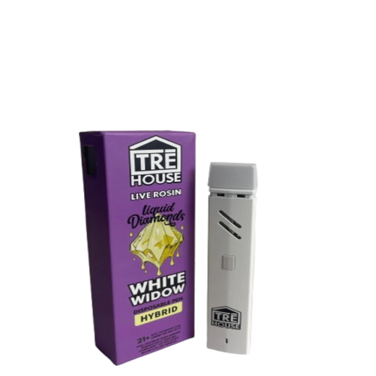 Premium Disposable Pen