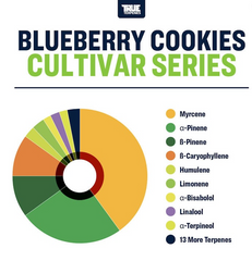 Blueberry Cookies terpene